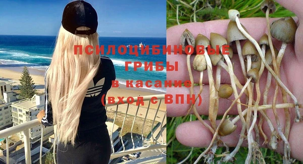 эйфоретик Арсеньев