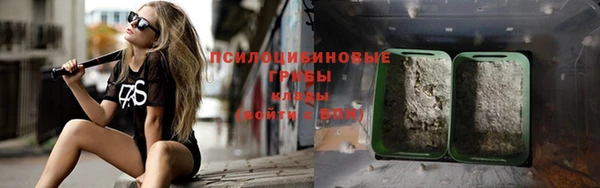 спиды Инта
