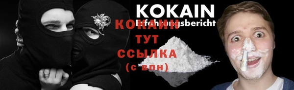 эйфоретик Арсеньев