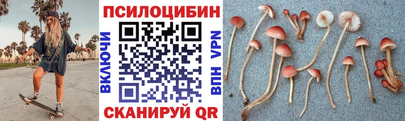 МЕГА ONION  Истра  Псилоцибиновые грибы мицелий  даркнет сайт 